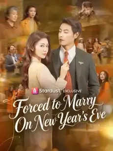 Forced to Marry On New Year's Eve — poster