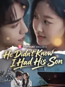 He Didn't Know I Had His Son — poster