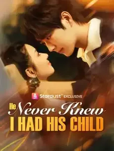 He Never Knew I Had His Child — poster