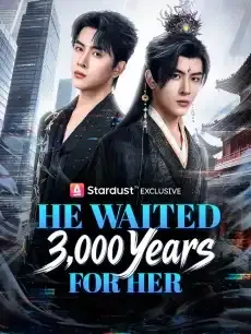 He Waited 3,000 Years for Her — poster