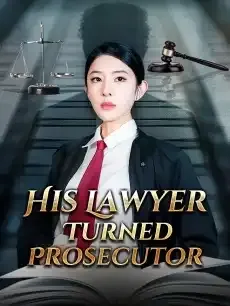 His Lawyer Turned Prosecutor — poster