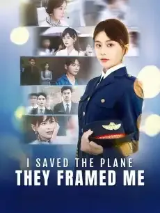 I Saved the Plane, They Framed Me — poster