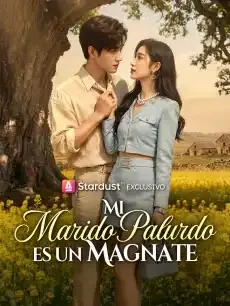 Mi marido palurdo es un magnate Episodios completos - StardustTV — póster