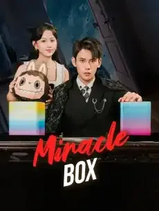 Miracle Box — poster