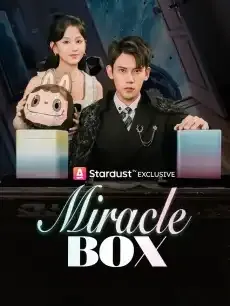 Miracle Box — poster