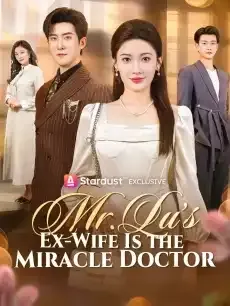 Mr. Lu’s Ex-Wife Is the Miracle Doctor — poster