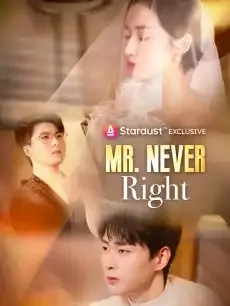 Mr. Never Right — poster