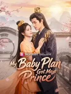 My Baby Plan Got Me a Prince — poster