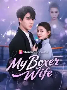 My Boxer Wife — poster