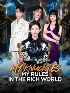 My Knuckles, My Rules in the Rich World — poster