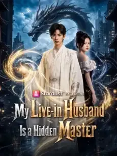 My Live-in Husband Is a Hidden Master — poster