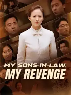 My Sons-in-Law, My Revenge — poster