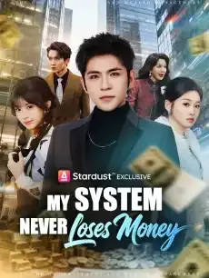 My System Never Loses Money — poster