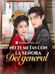 No te metas con la señora del general Episodios completos - StardustTV — póster