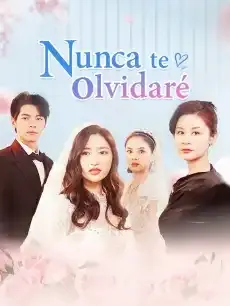 Nunca te olvidaré Episodios completos - StardustTV — póster