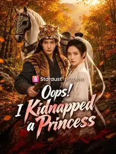 Oops I Kidnapped a Princess — poster