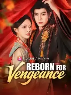 Reborn for Vengeance — poster