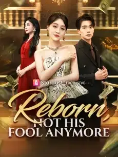 Reborn, Not His Fool Anymore — poster