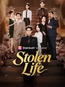 Stolen Life — poster