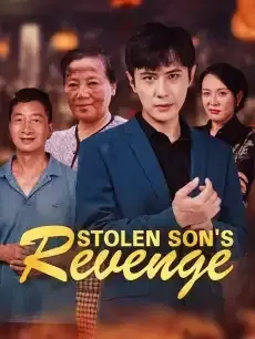 Stolen Son's Revenge — poster