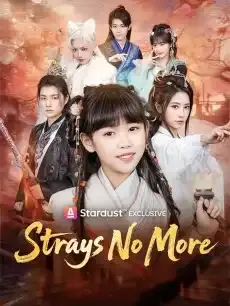 Strays No More — poster
