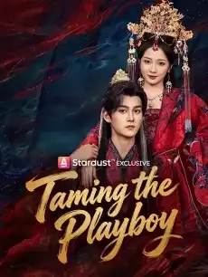 Taming the Playboy — poster