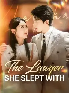 The Lawyer She Slept With — poster