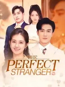 The Perfect Stranger — poster