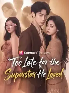 Too Late for the Superstar He Loved — poster