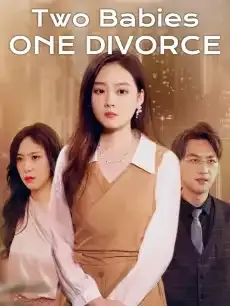 Two Babies, One Divorce — poster
