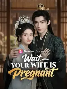 Wait—Your Wife Is Pregnant — poster
