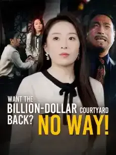 Want the Billion-Dollar Courtyard Back? No Way! — poster
