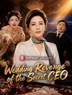 Wedding Revenge of the Secret CEO — poster