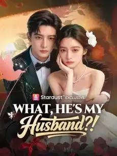What, He's My Husband?! — poster