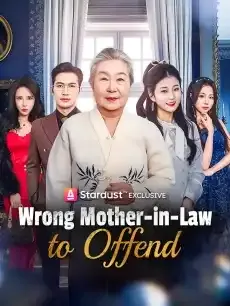 Wrong Mother-in-Law to Offend — poster