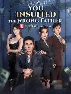 You Insulted the Wrong Father — poster