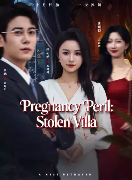 Pregnancy Peril: Stolen Villa