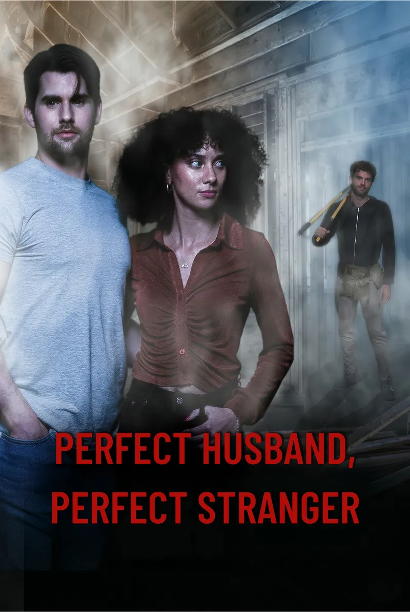 Perfect Husband, Perfect Stranger — poster
