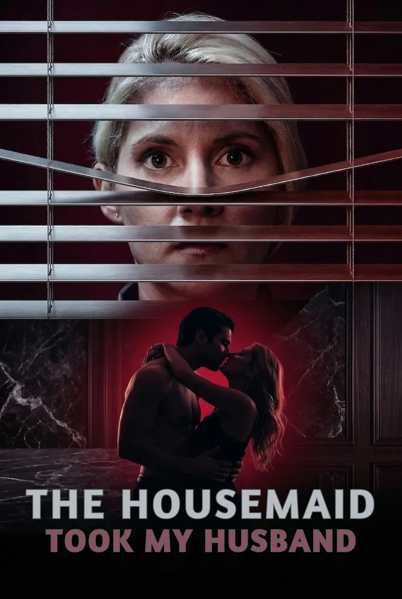 The Housemaid Took My Husband — poster