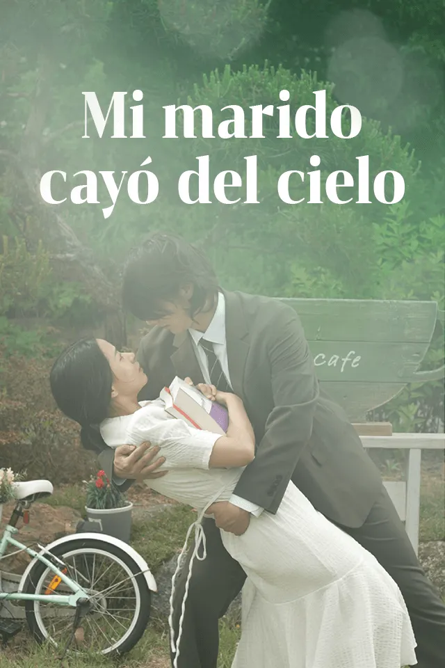 Mi marido cayó del cielo