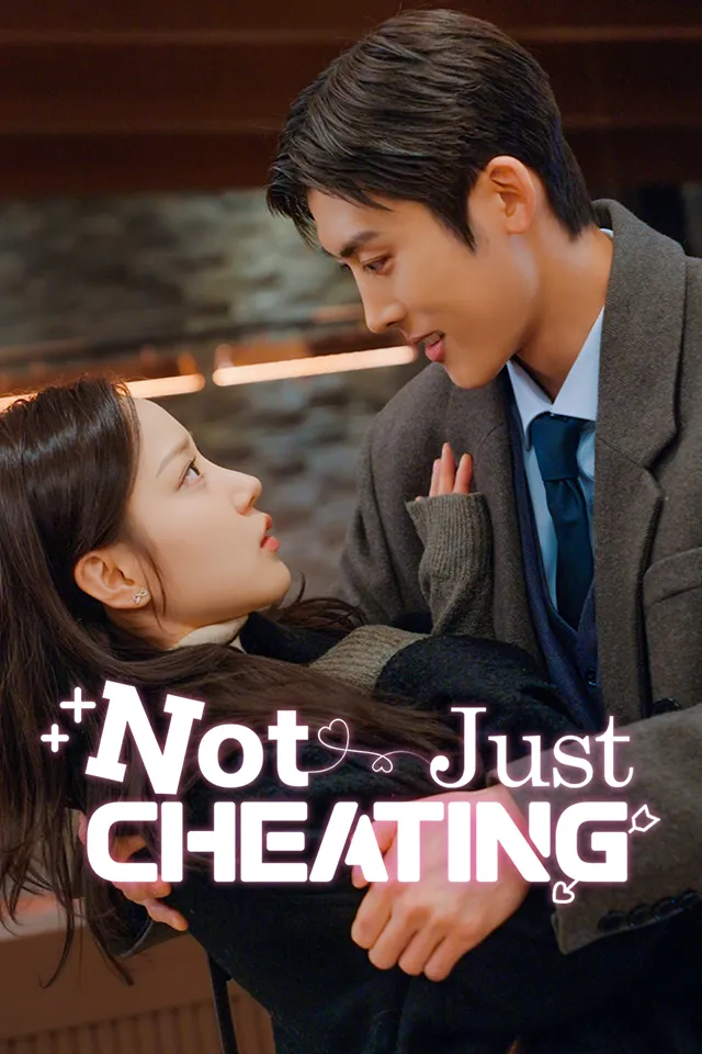 Not Just Cheating — poster