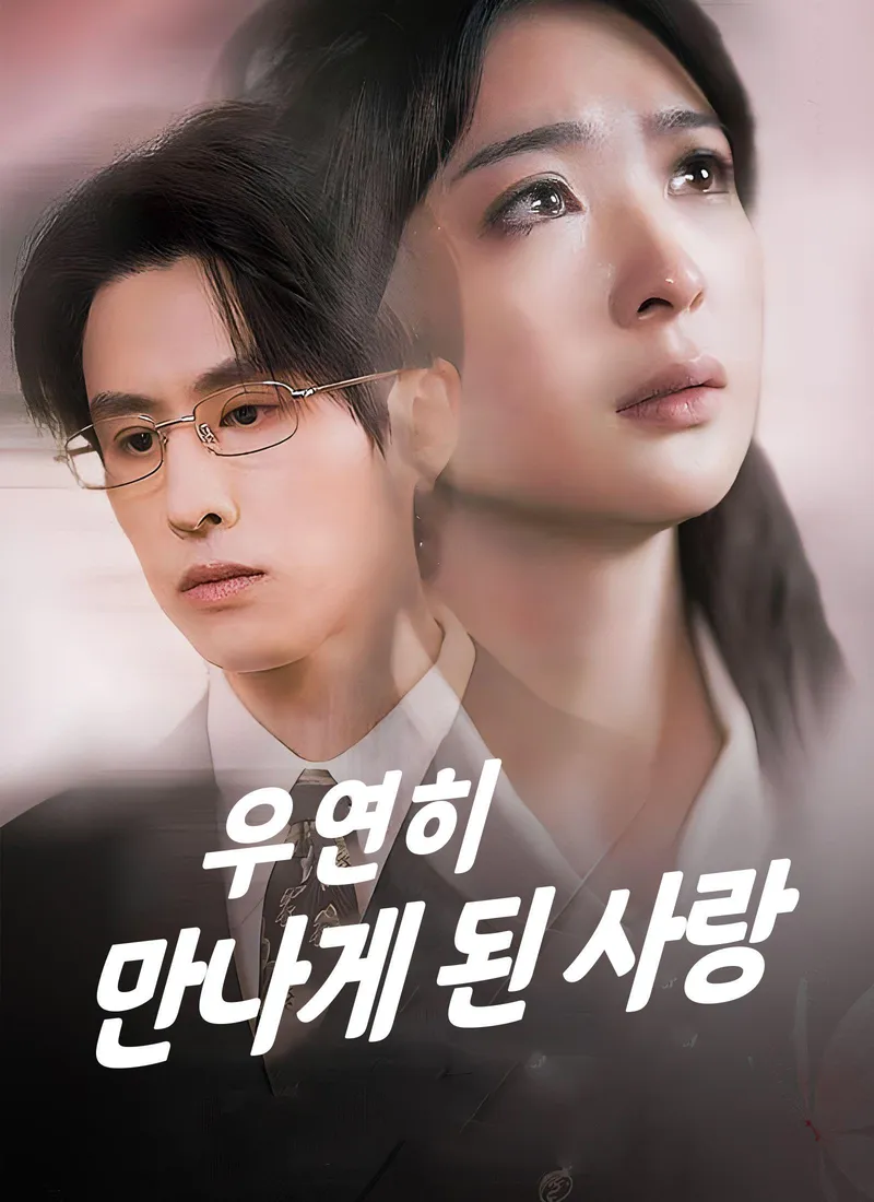Amor encontrado por casualidad (Ver. Coreana) — póster
