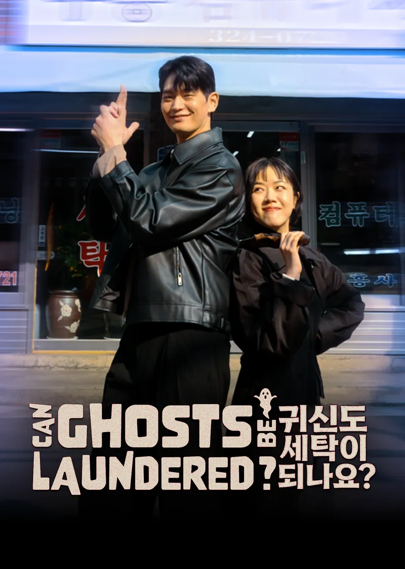 Can ghosts be laundered? — poster