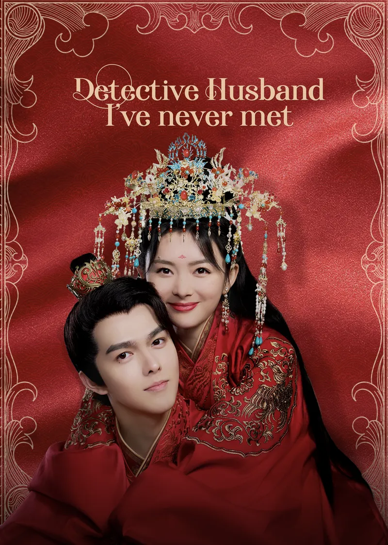 Detective Husband I've Never Met