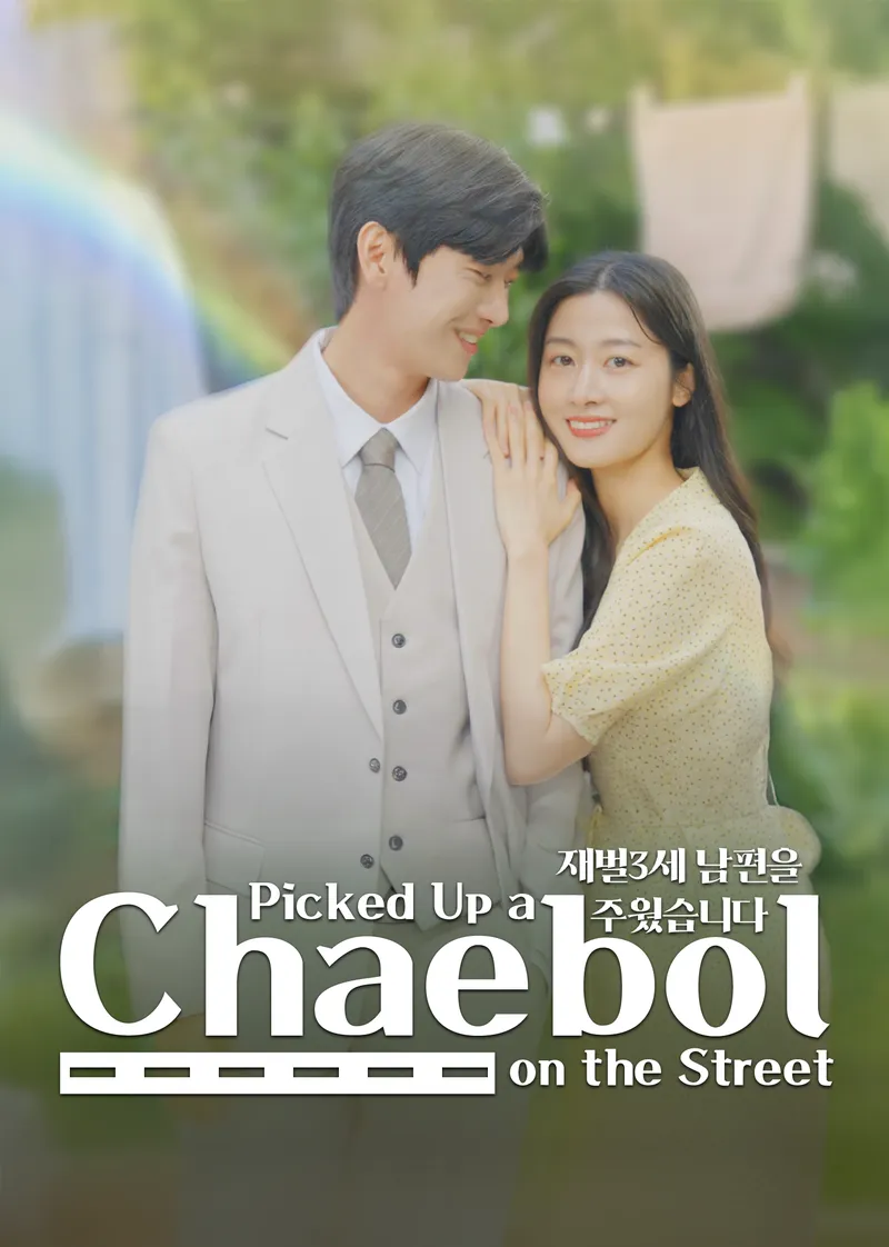 Picked Up a Chaebol on the Street