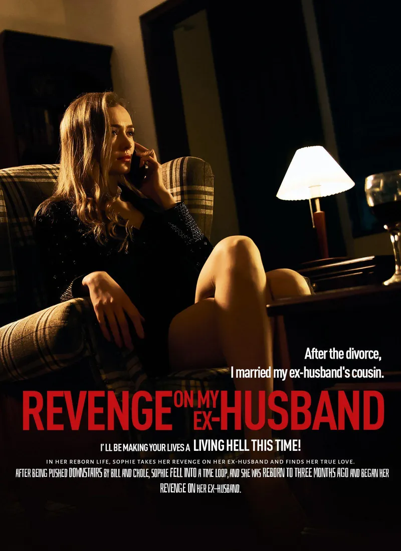 Revenge on my ex-husband — poster