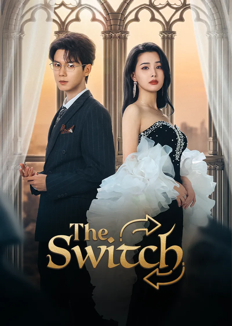 The Switch — poster